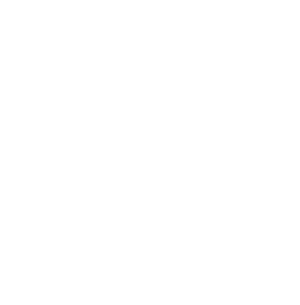 Roi-Web - White logo_300